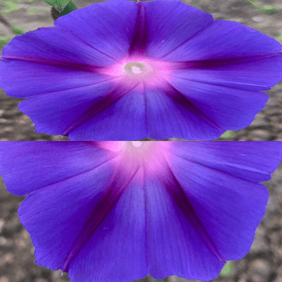 Image output for example 1